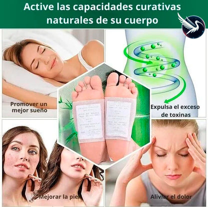 Parches Detox Naturales – Purifica tu Cuerpo Mientras Duermes ✨🌿