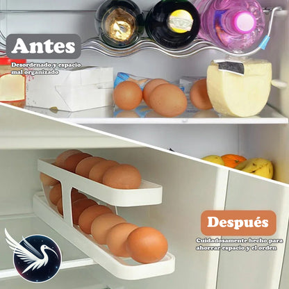 DISPENSADOR DE HUEVOS 🥚🍳