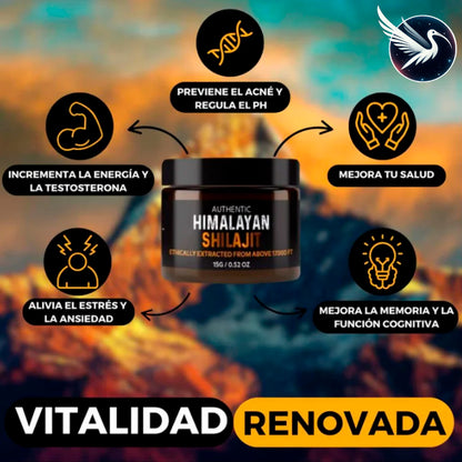 SHILAJIT ORIGINAL HIMALAYA